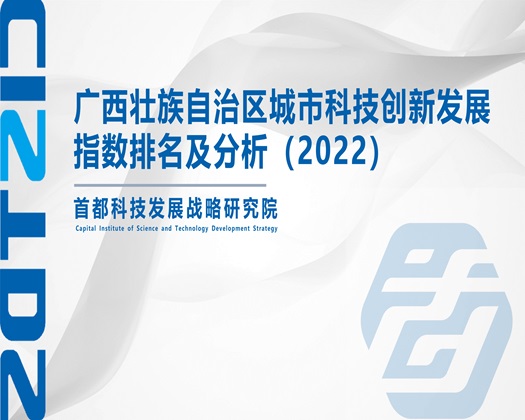 66操逼【成果发布】广西壮族自治区城市科技创新发展指数排名及分析（2022）